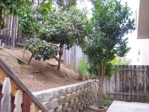 1629 Hanson Ln, El Cajon, CA 92021 photo 15