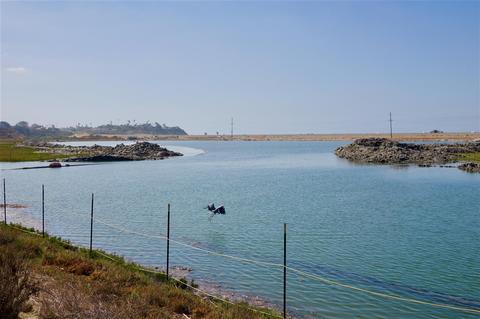 2709 Mackinnon Ranch Rd, Cardiff, CA 92007 photo 24