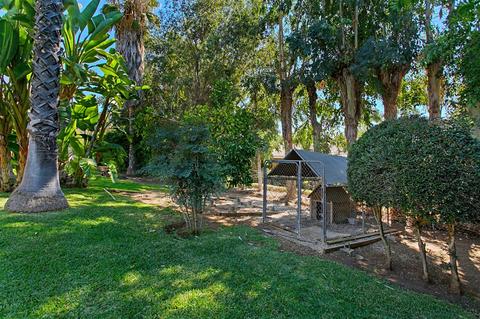 1649 Elevado Rd, Vista, CA 92084 photo 23