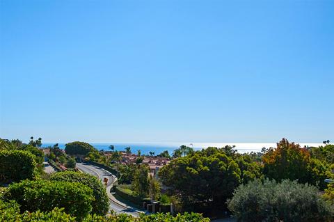1604 Caminito Barlovento, La Jolla, CA 92037 photo 23