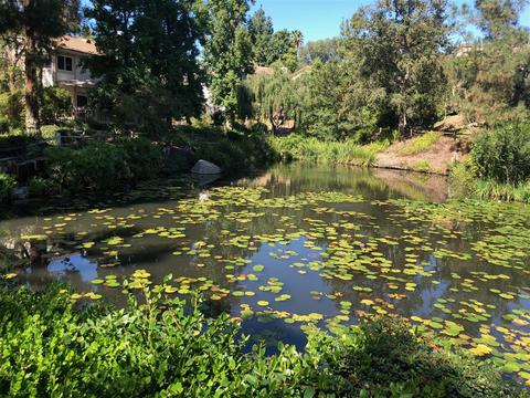 1341 Timberpond Dr, El Cajon, CA 92019 photo 1