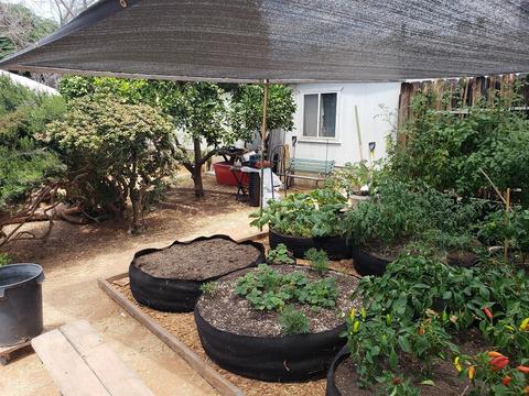 1203 Lyons Ln, El Cajon, CA 92021 photo 3
