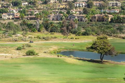 6840 Estrella De Mar Rd, Carlsbad, CA 92009 photo 18