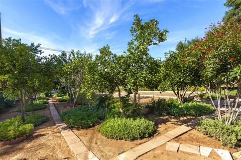 2626 Miller Ave, Escondido, CA 92029 photo 25