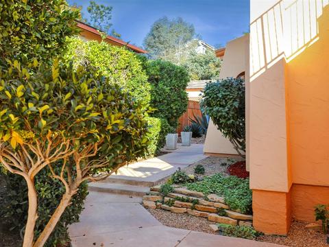 13823 Recuerdo Dr, Del Mar, CA 92014 photo 3