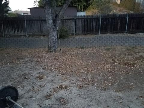 3990 Brown St, Oceanside, CA 92056 photo 16