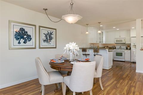 878 Viva Ct, Solana Beach, CA 92075 photo 6