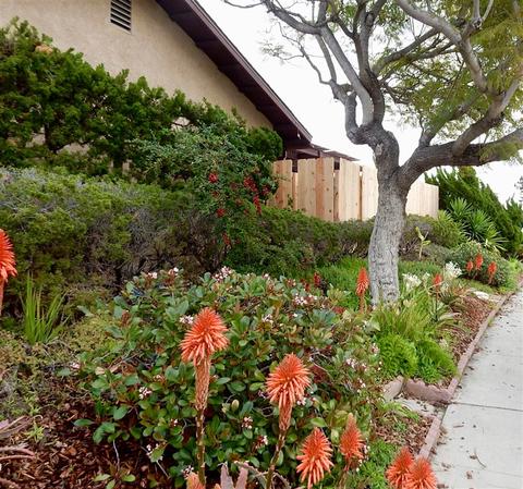 1460 Panorama Ridge Rd, Oceanside, CA 92056 photo 16