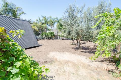 1060 Urania Ave, Encinitas, CA 92024 photo 18