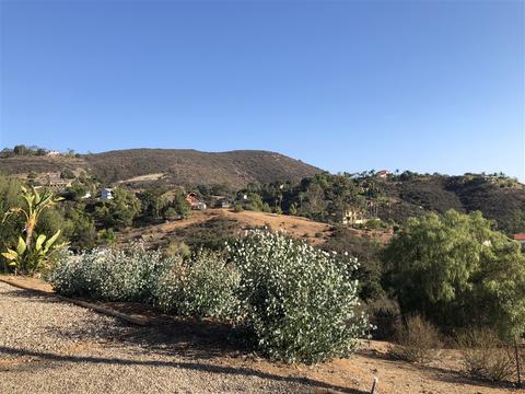 3695 Alta Loma Dr, Jamul, CA 91935 photo 6