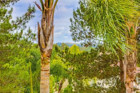 1693 Docena Rd, Carlsbad, CA 92011 photo 15