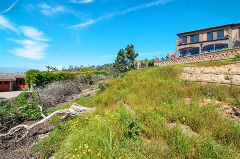 6642 Muirlands Dr, La Jolla, CA 92037 photo 20
