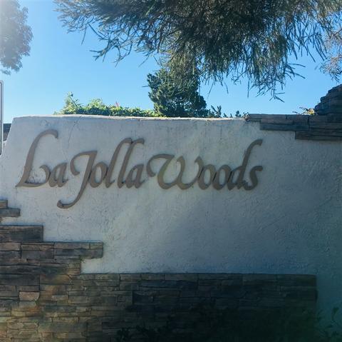 8215 Caminito Lacayo, La Jolla, CA 92037 photo 25