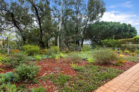 8215 Caminito Lacayo, La Jolla, CA 92037 photo 8