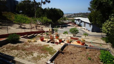 1005 Highland Dr, Del Mar, CA 92014 photo 24