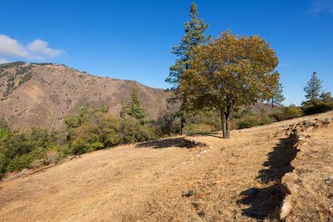 1205 Sunrise Dr, Julian, CA 92036 photo 22