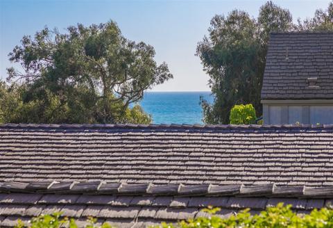 230 Dolphin Cove Ct, Del Mar, CA 92014 photo 6