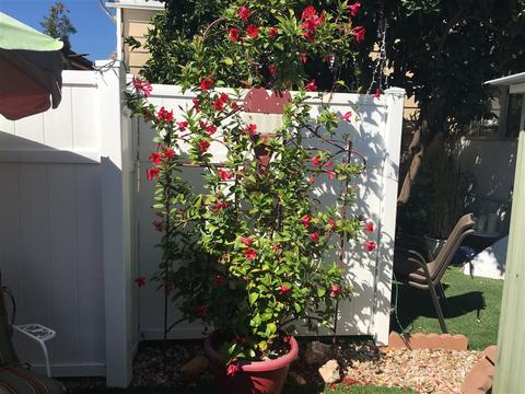 1010 E Bobier Dr #130, Vista, CA 92084 photo 24