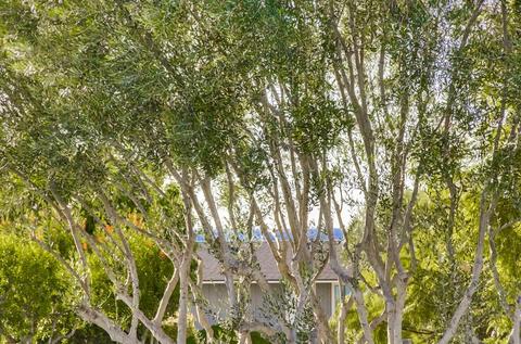 Undisclosed, Solana Beach, CA 92075 photo 9