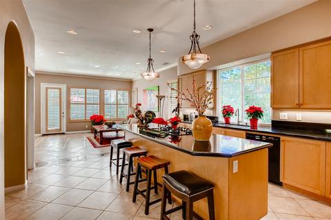 7228 Calidris Ln, Carlsbad, CA 92011 photo 6