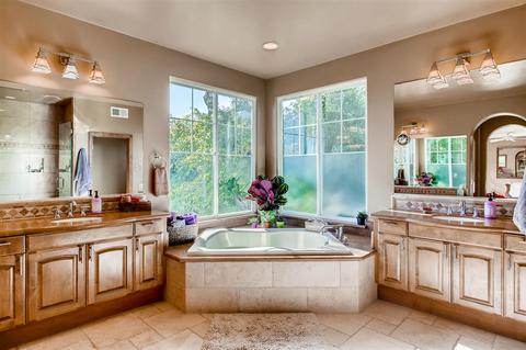 7228 Calidris Ln, Carlsbad, CA 92011 photo 14