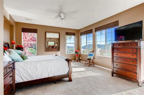 7228 Calidris Ln, Carlsbad, CA 92011 photo 12