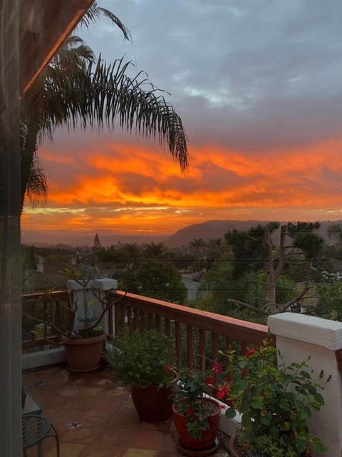 7228 Calidris Ln, Carlsbad, CA 92011 photo 2