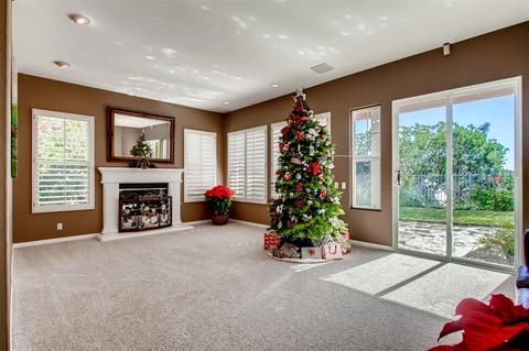 7228 Calidris Ln, Carlsbad, CA 92011 photo 5