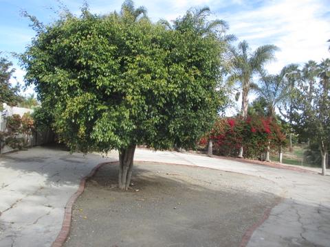 421 Hill Dr, Vista, CA 92083 photo 3