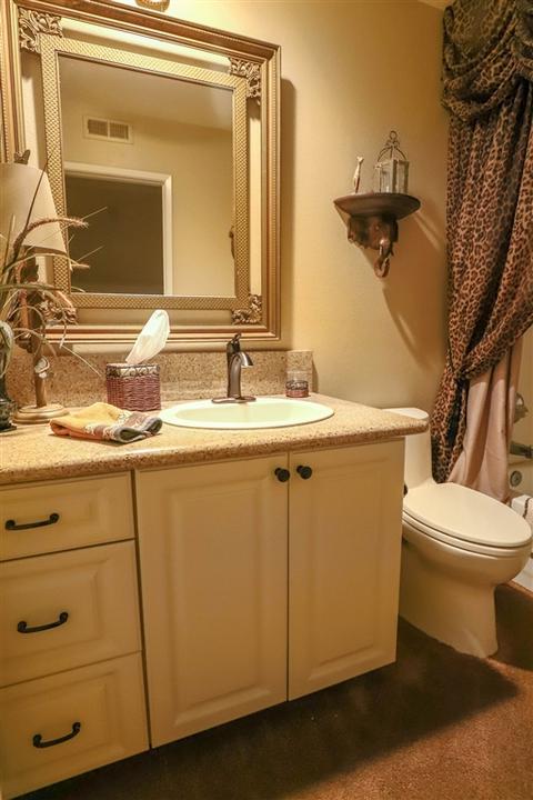 4825 Vigilant Way, Carlsbad, CA 92008 photo 19