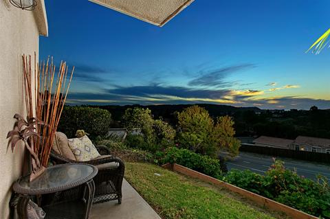 2251 Altisma Way #101, Carlsbad, CA 92009 photo 13