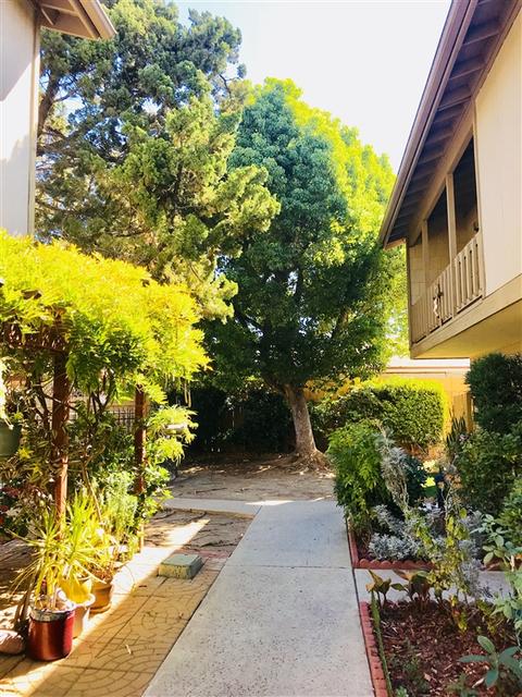779 N Mollison Ave #D, El Cajon, CA 92021 photo 6