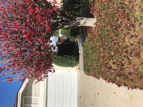 355 Holiday Way, Oceanside, CA 92057 photo 2