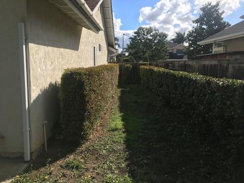 355 Holiday Way, Oceanside, CA 92057 photo 11