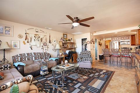 1774 Roble Grande Rd, Alpine, CA 91901 photo 24