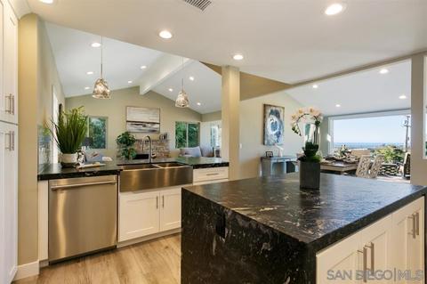 744 Avocado Pl, Del Mar, CA 92014 photo 2