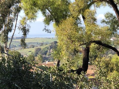4382 Shasta Pl, Carlsbad, CA 92010 photo 12