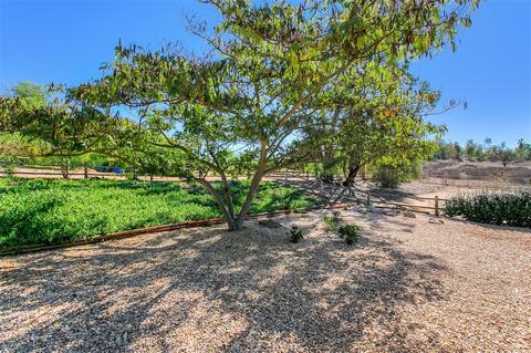 14255 Cane Rd, Valley Center, CA 92082 photo 17
