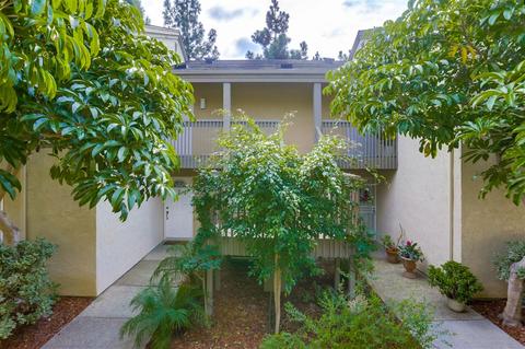 8528 Via Mallorca #D, La Jolla, CA 92037 photo 16