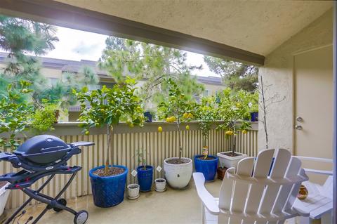 8528 Via Mallorca #D, La Jolla, CA 92037 photo 12