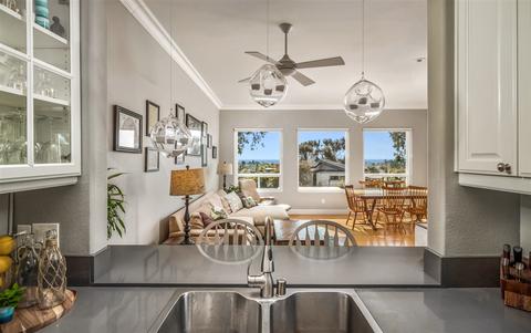 534 Orpheus Ave, Encinitas, CA 92024 photo 10