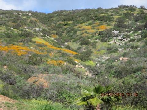 14480 Carlson Ct, Poway, CA 92064 photo 13
