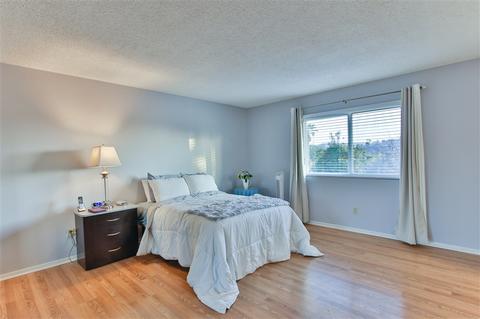 3455 Royal Rd, Vista, CA 92084 photo 7