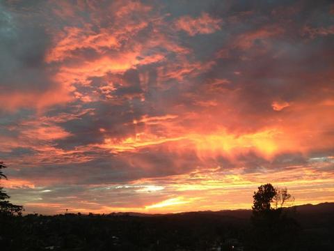 624 Hillcrest Ln, Fallbrook, CA 92028 photo 22