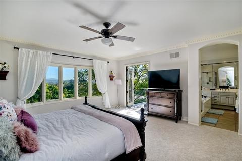 7162 Tern Pl, Carlsbad, CA 92011 photo 18