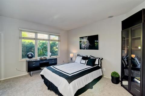 7162 Tern Pl, Carlsbad, CA 92011 photo 13