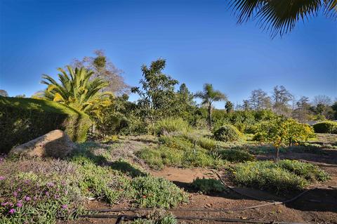 13810 Del Poniente Rd, Poway, CA 92064 photo 17