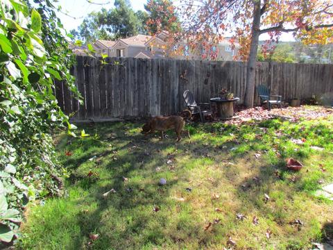 Undisclosed, El Cajon, CA 92021 photo 2