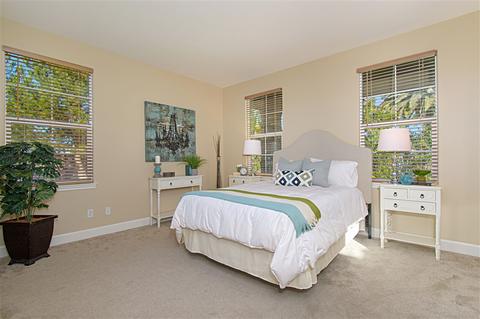 6853 Citrine Dr, Carlsbad, CA 92009 photo 20