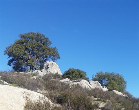 32058 Sand Aster Cir, Campo, CA 91906 photo 4